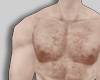 Hair on the Chest Ginger