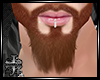 :XB: Beard Ginger
