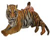Khador's Pet Tiger