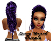 Braid Long Purple
