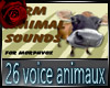26 voice Animaux pt1