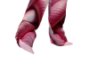 PinkSerpent