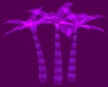 ~H~!purple!Palm Trees