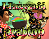 (LR)AT Hawaii  bot  m