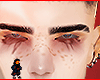 Slvh brows