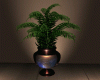 Plant-1 NK