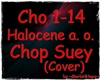 MH~ChopSuey(Cover)