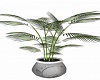 Pot Plant V2