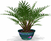 Watching Plant v1