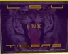 LSU U Tube Player