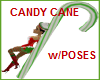 CANDY CANE GRN W/POSES