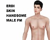 ERDI SKIN HANDSOME MALE