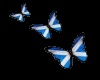 Scottish Butterflies