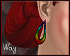 *W*Earrings Rainbow