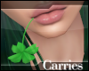 C Mouth Shamrock