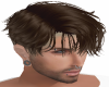 Short Brown Hair