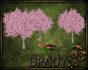 [B]utopia blossom trees