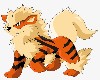 Arcanine Furkini