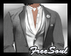 CEM Grey 3 Formal Suit