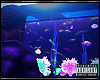 Neon Glofish