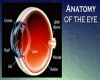 Dr Eye Scanner