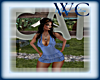 DW DENIM BLUE MINI
