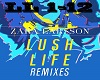  Larsson lush Remix