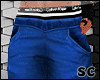 (Sc) Realistic Blue Pant