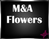 !M! M&A Flowers