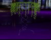 Ry*plant angel purple/bl
