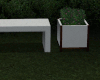 Modern  Bench