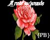 {PB}A Rose w/sounds