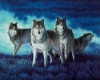 wolves Area Rug