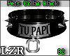 Pets Collar Black B2