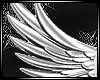 Wings Idol