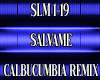 SLM 1-19
