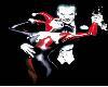 Joker Harley Quinn wall