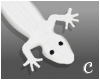 © Chest Gecko: White