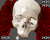 💀 Red Crown V1