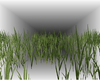 Swamps Grass | Animated
