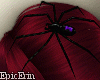 {E} Black Widow Spider w