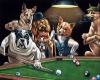 Dog Billiards Cafe Pic