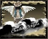 Charlies Angels Room