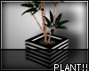 A- Plant v2