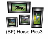 (BP) Horse Pic3