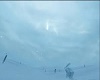 Snow- Journey