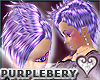 [wwg] EVINE - purplebery