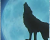 Wolf's Rain Sticker