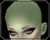 Zombie Bald