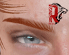 🦁 2ginger eyebrows